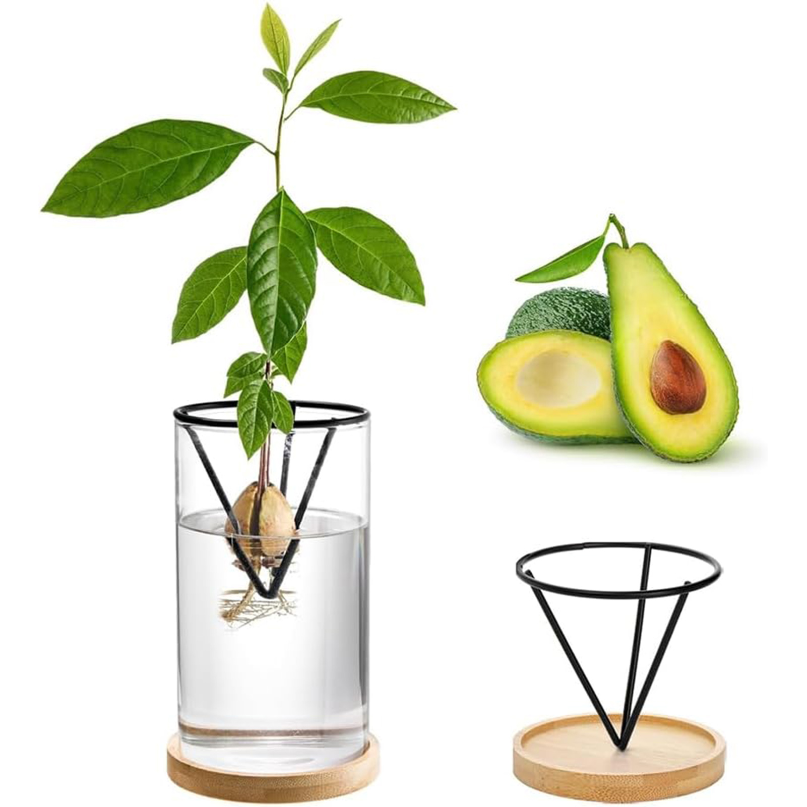 1Set Avocado Tree Growing Kits – Crystal Growing Kit Bewertung und Preis