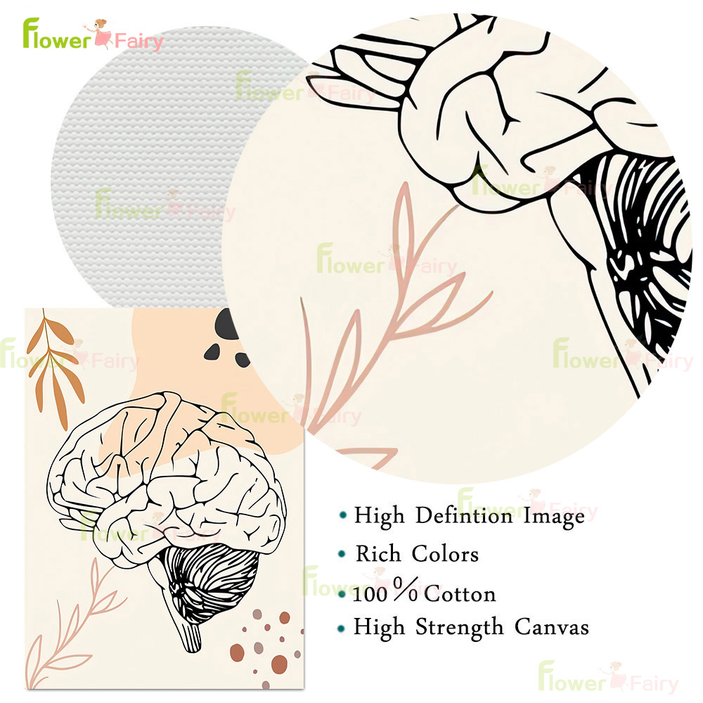 Human Anatomy Science Brain Nu – Science Nursery Bewertung und Preis