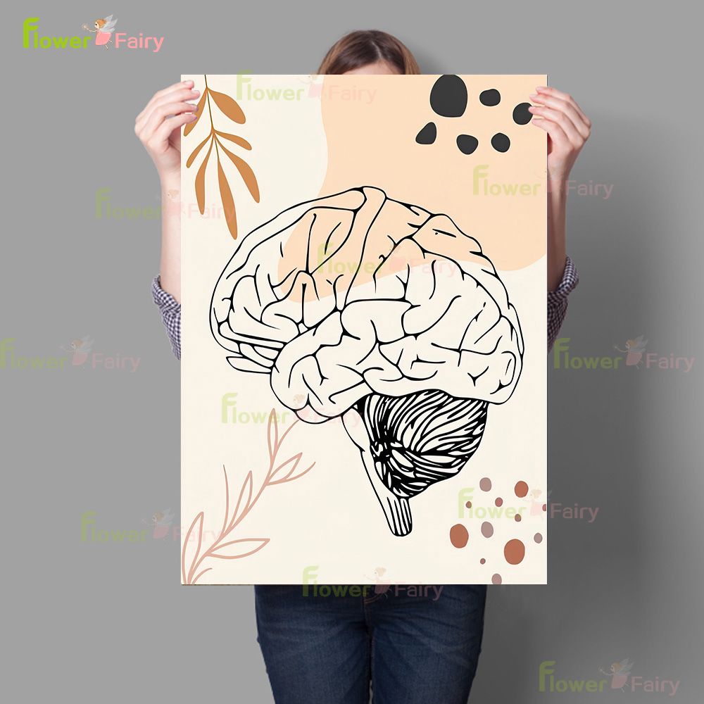 Human Anatomy Science Brain Nu – Science Nursery Bewertung und Preis