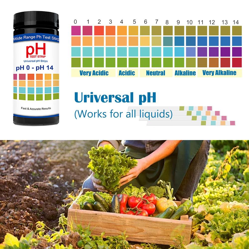 100 Pieces Multipurpose Chlori – Ph Strip Test Bewertung und Preis
