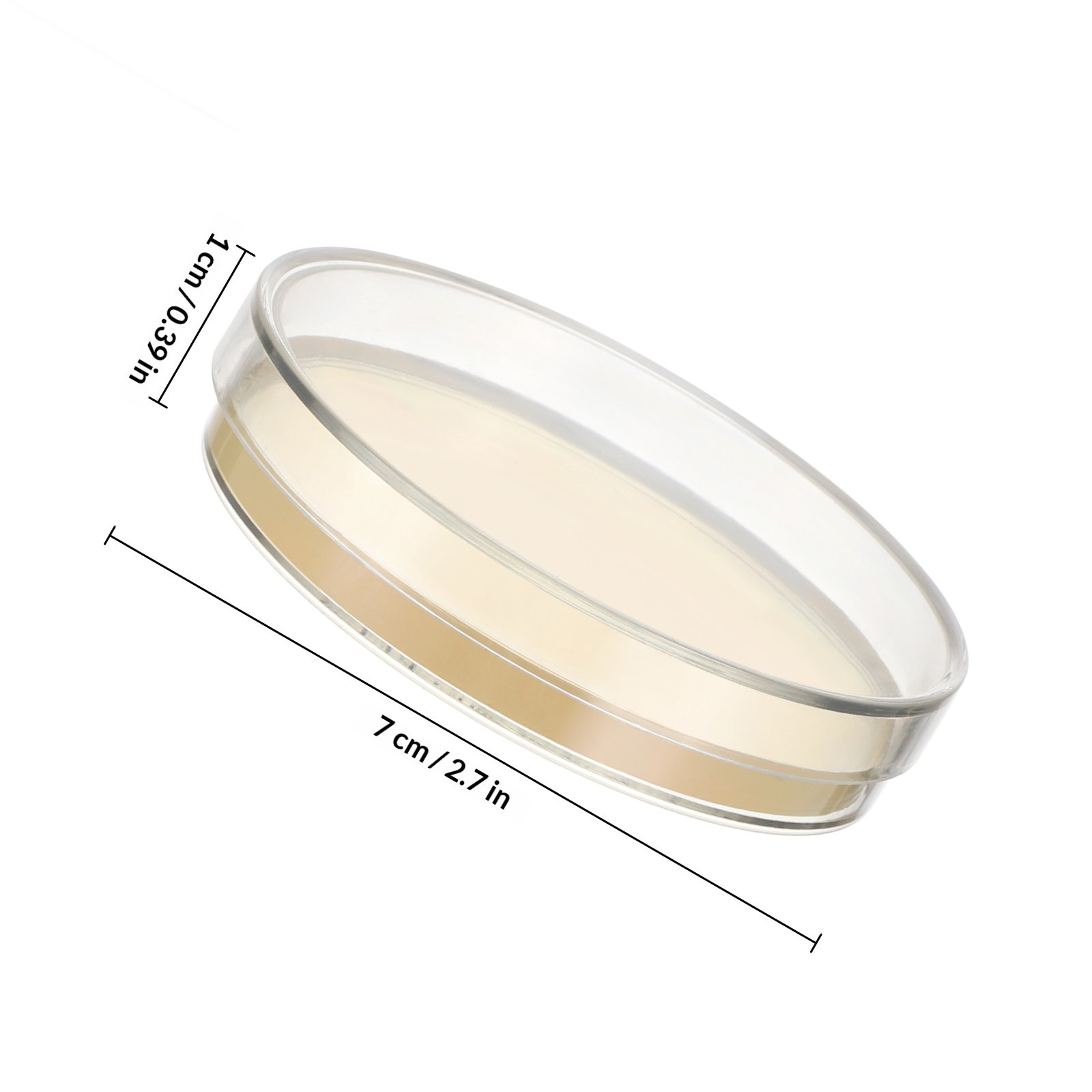 Agar Plates 10pcs Ready to Use – Science Experiment Bewertung und Preis