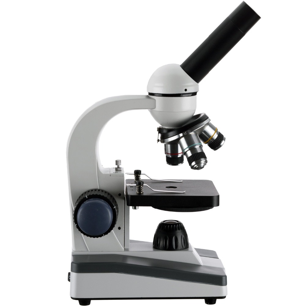 AmScope M150 Series Portable L – Microscope Compound 40X Bewertung und Preis