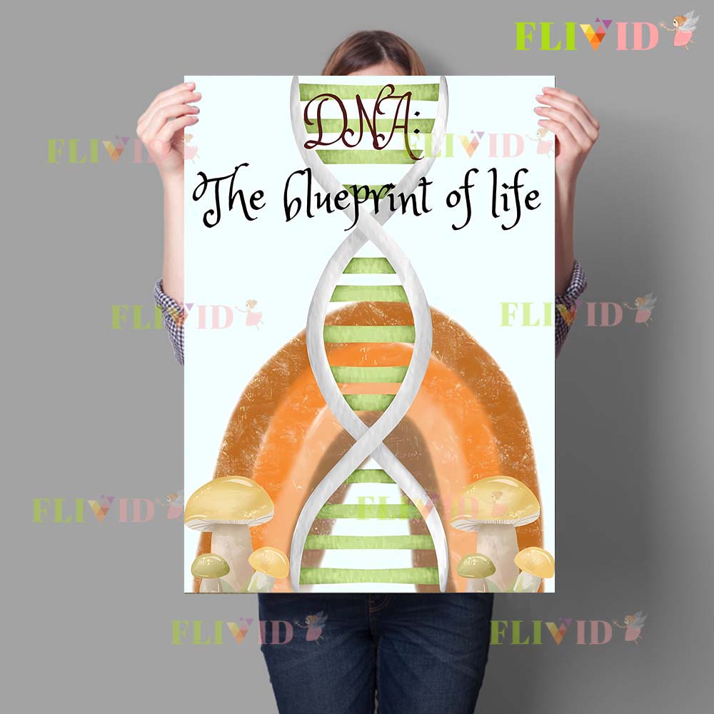 Nursery Cell Biology Science C – Science Nursery Bewertung und Preis