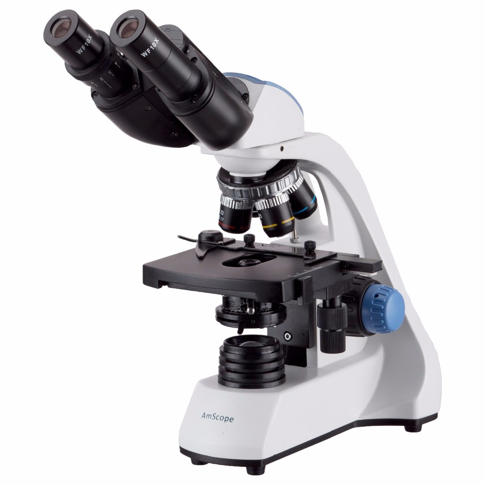 AmScope 40X-2000X LED Binocula – Microscope Compound 40X Bewertung und Preis