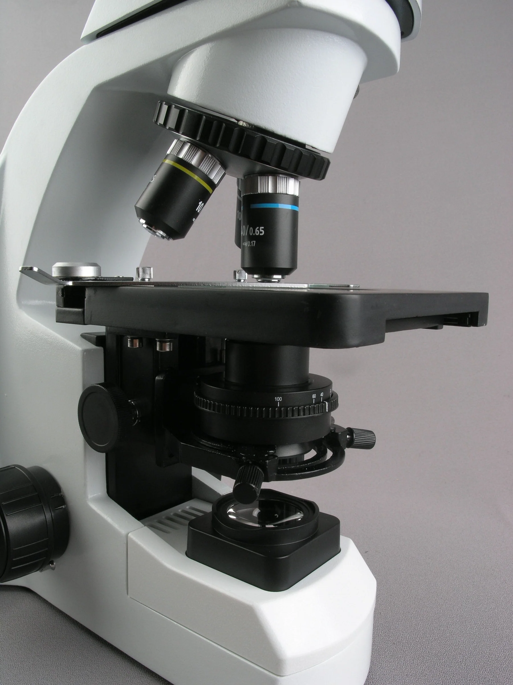 AmScope Infinity-Corrected Tri – Microscope Compound 40X Bewertung und Preis