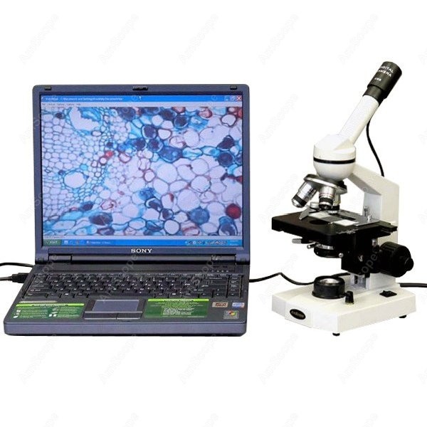 AmScope M600 Series Student Mo – Microscope Compound 40X Bewertung und Preis