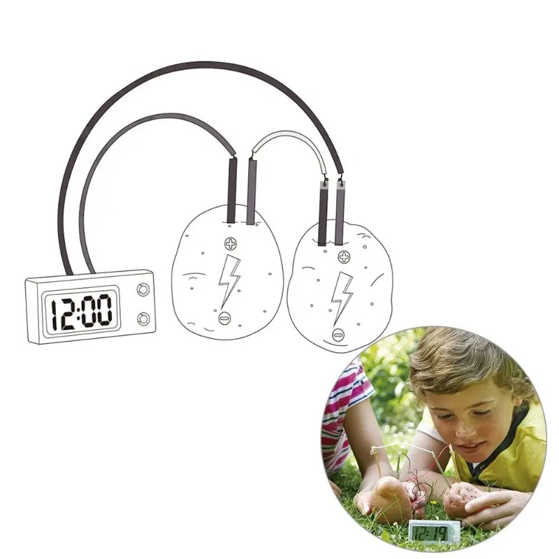 New Kid Montessori Toy Fruit P – Science Nature Bewertung und Preis