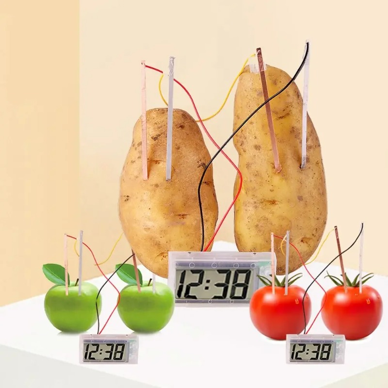New Kid Montessori Toy Fruit P – Science Nature Bewertung und Preis