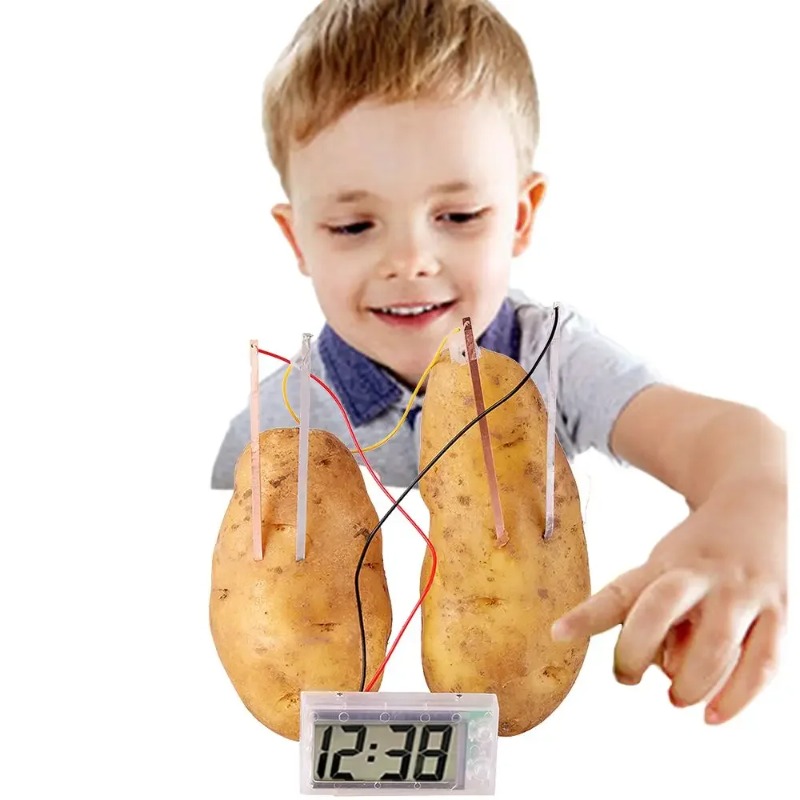 New Kid Montessori Toy Fruit P – Science Nature Bewertung und Preis