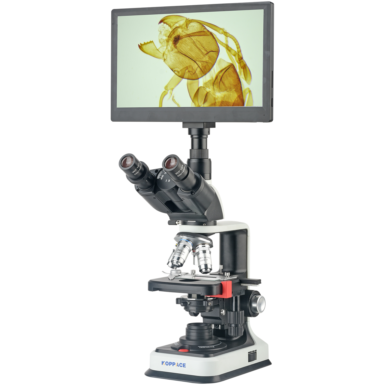 KOPPACE 40X-2500X Electron Com – Microscope Compound 40X Bewertung und Preis
