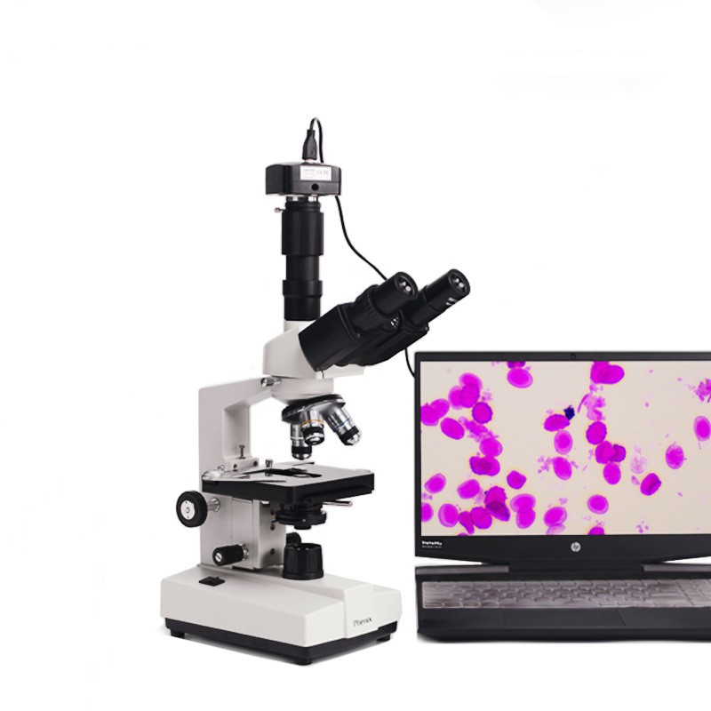 40X-1600X USB Compound Microsc – Microscope Compound 40X Bewertung und Preis