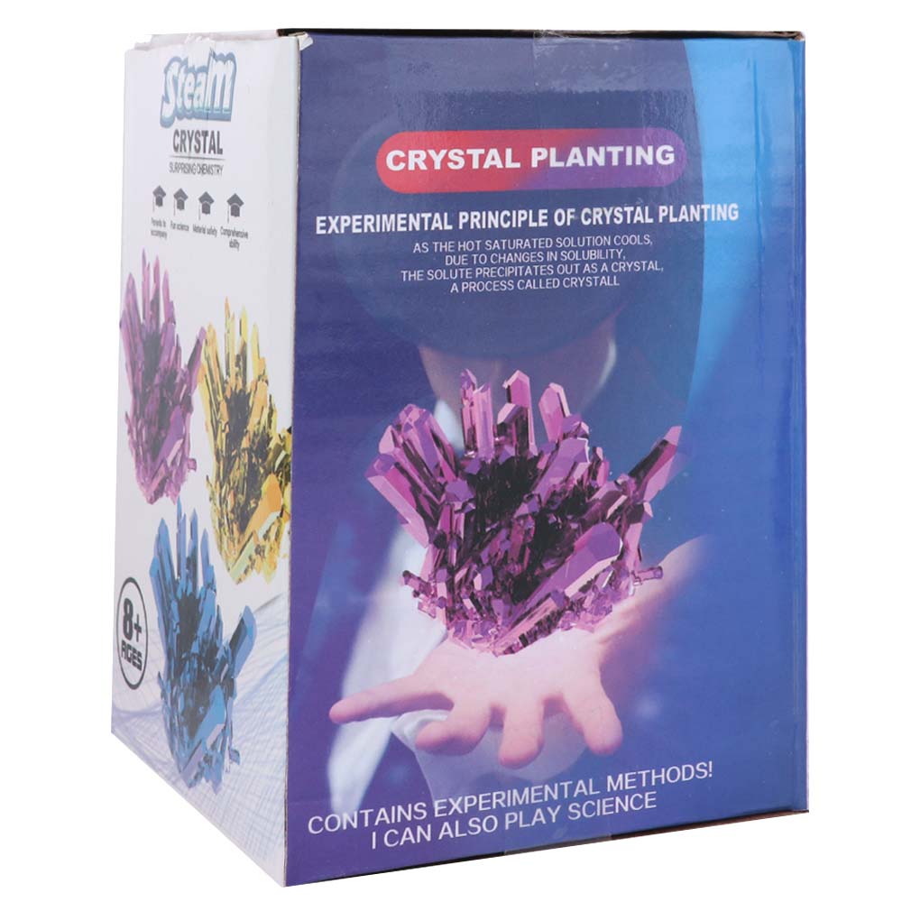 Grow a Crystal Crystal Growing – Science Project Diy Bewertung und Preis