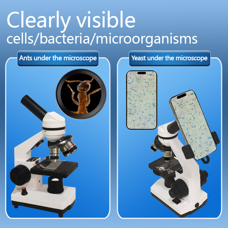 Portable Biological Optical Co – Microscope Compound 40X Bewertung und Preis