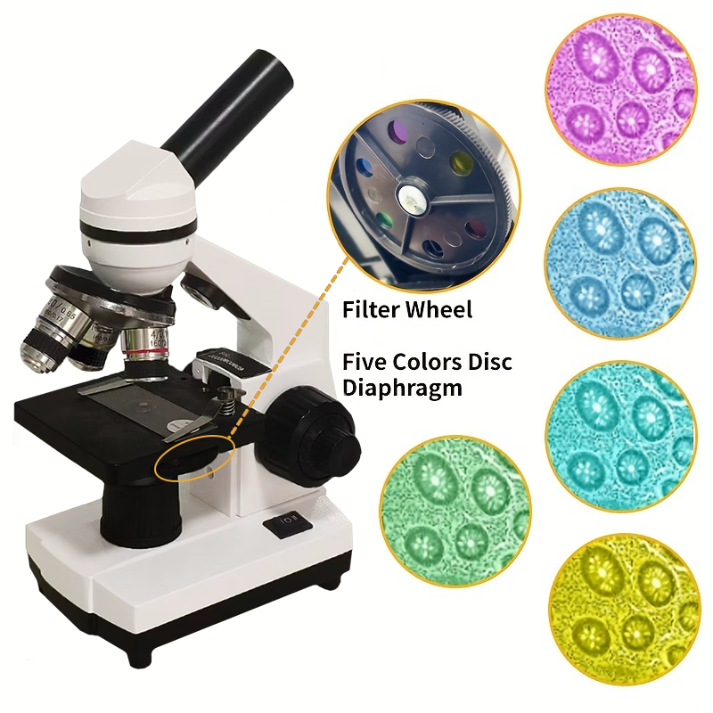 Portable Biological Optical Co – Microscope Compound 40X Bewertung und Preis
