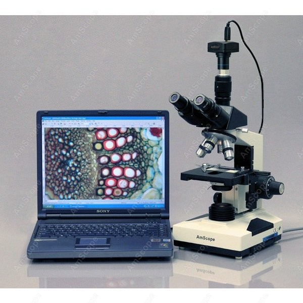 AmScope T490 Series Simul-Foca – Microscope Compound 40X Bewertung und Preis