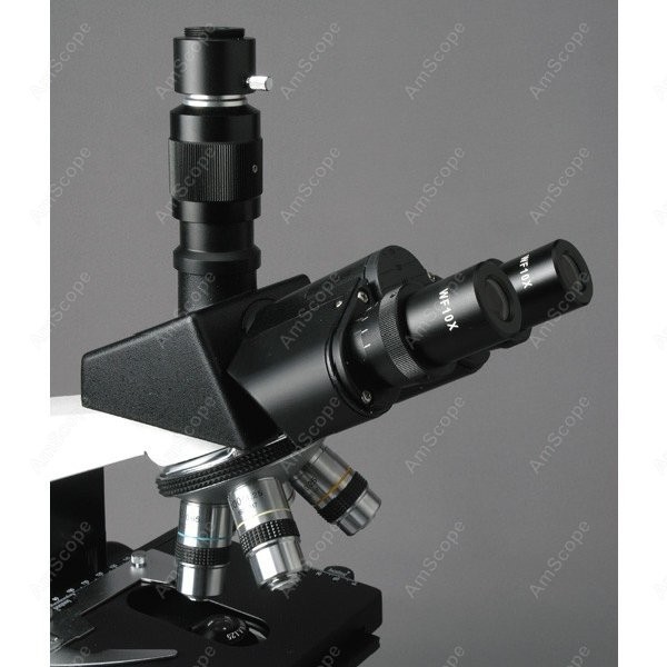 AmScope T490 Series Simul-Foca – Microscope Compound 40X Bewertung und Preis