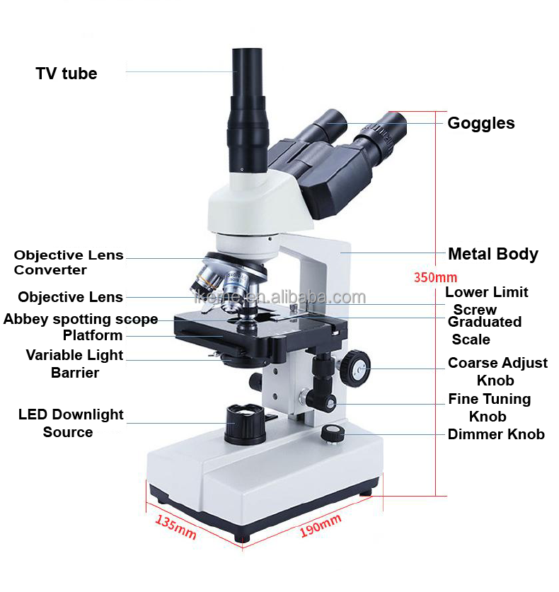 Professional binocular compoun – Microscope Compound 40X Bewertung und Preis