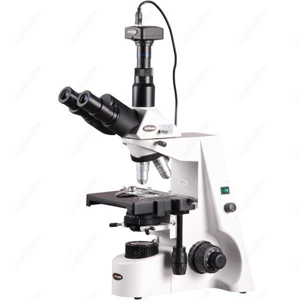 AmScope 40X-2500X Infinity Koh – Microscope Compound 40X Bewertung und Preis