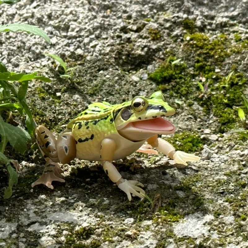 BANDAI Official Realistic Blac – Science Nature Bewertung und Preis