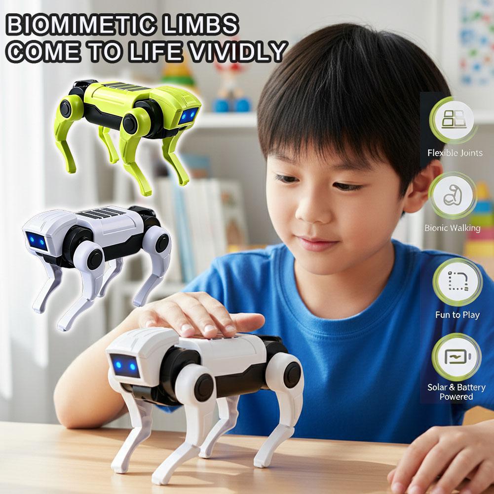 DIY Assembly RC Robot Dog Toy  – Science Project Robot Bewertung und Preis