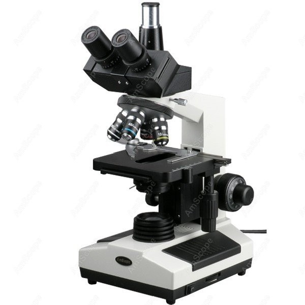 AmScope T390 Series Biological – Microscope Compound 40X Bewertung und Preis