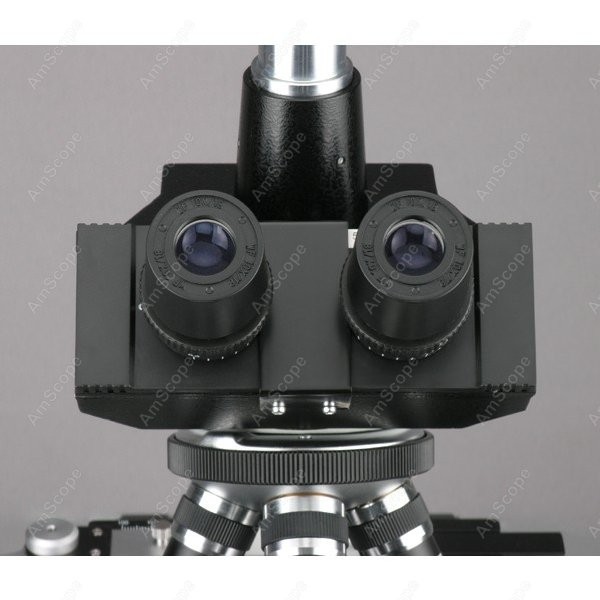 AmScope T390 Series Biological – Microscope Compound 40X Bewertung und Preis