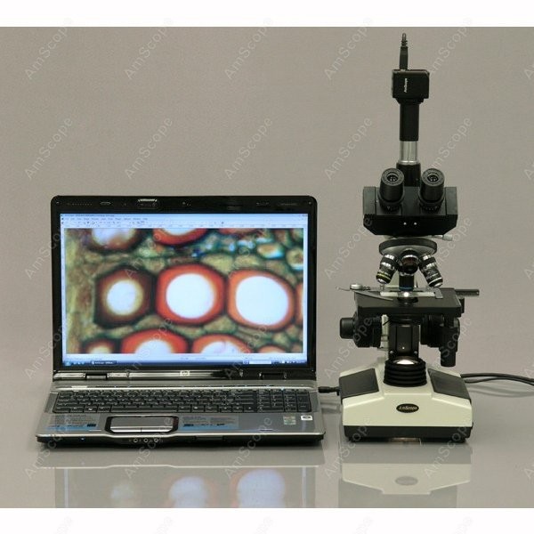 AmScope T390 Series Biological – Microscope Compound 40X Bewertung und Preis