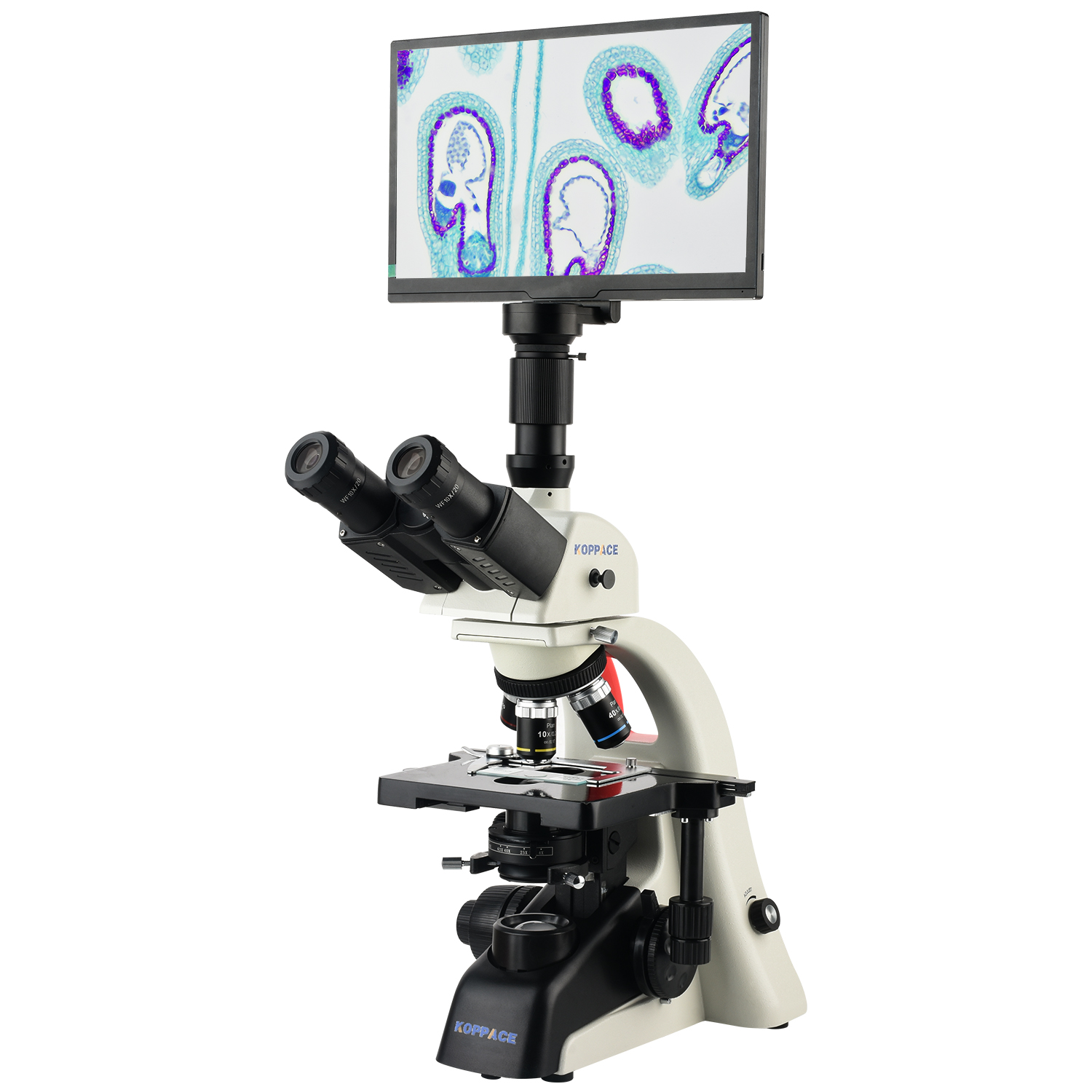 KOPPACE 40X-1600X Electron Com – Microscope Compound 40X Bewertung und Preis