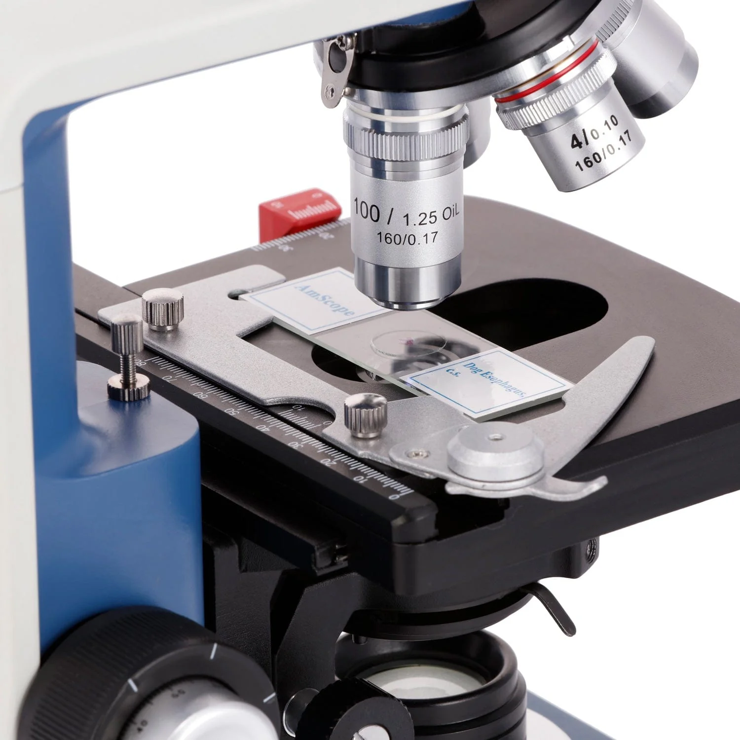 AmScope 40X-2500X USB-C Rechar – Microscope Compound 40X Bewertung und Preis