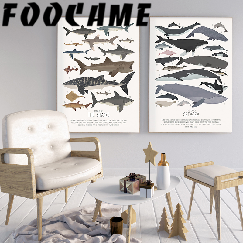 Deep-Sea Fish and Sharks Scien – Science Nursery Bewertung und Preis