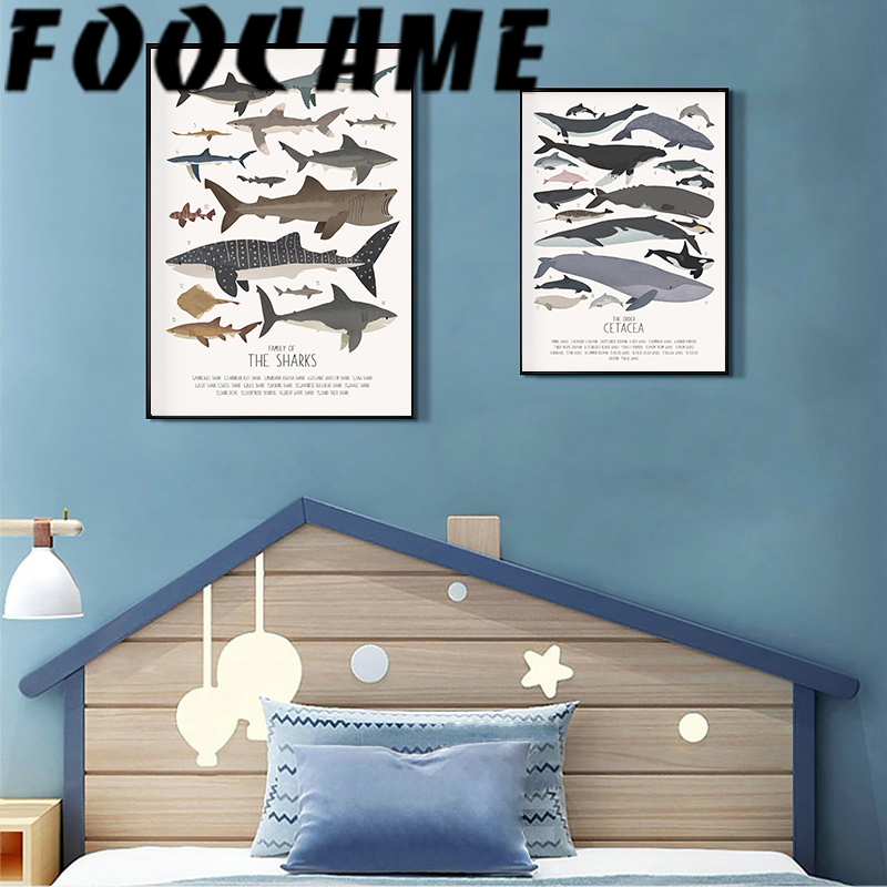 Deep-Sea Fish and Sharks Scien – Science Nursery Bewertung und Preis