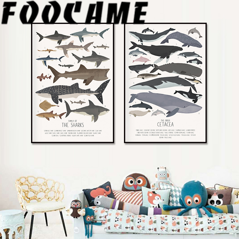 Deep-Sea Fish and Sharks Scien – Science Nursery Bewertung und Preis