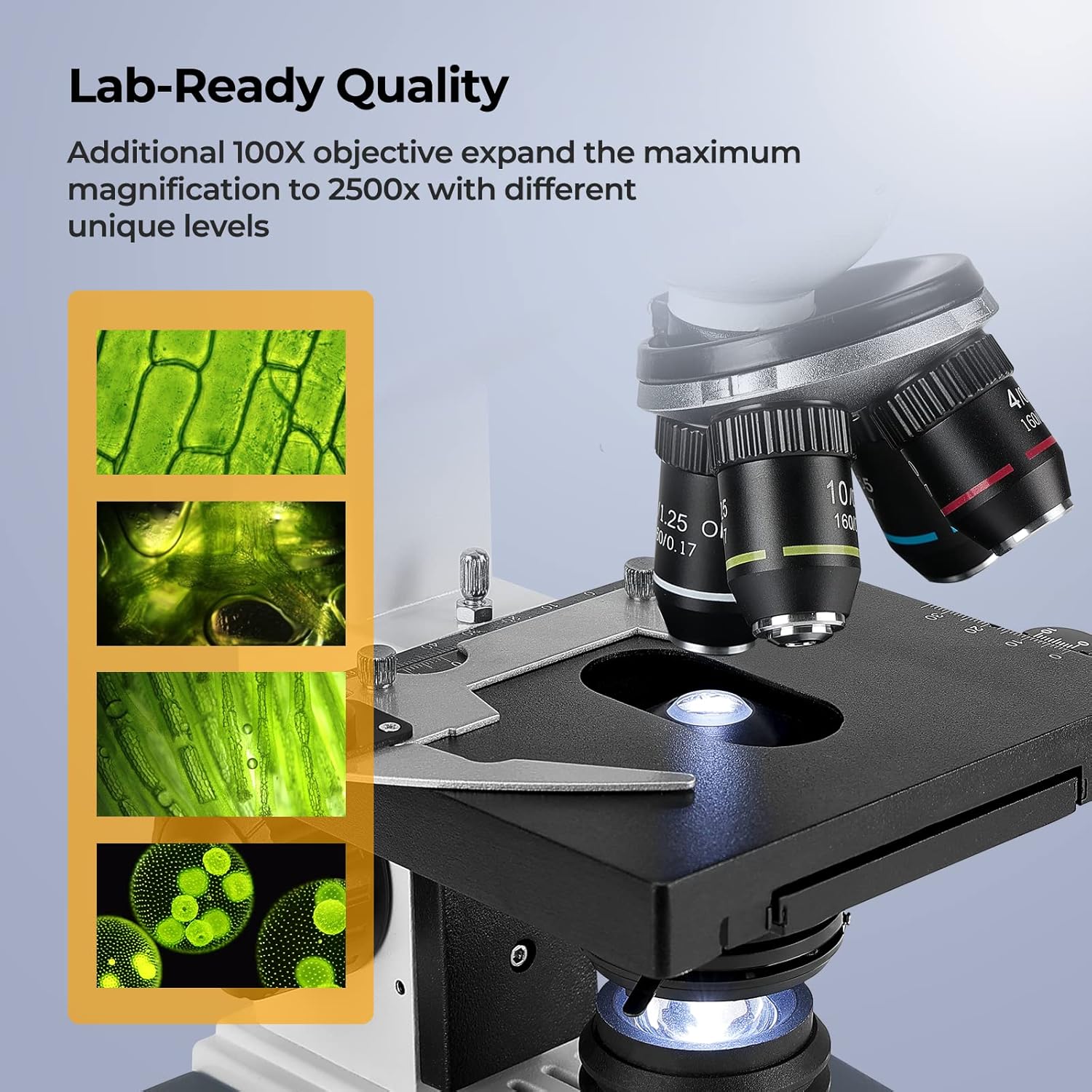 40X-2500X Trinocular Compound  – Microscope Compound 40X Bewertung und Preis