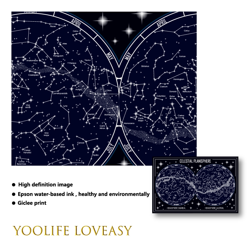 Celestial Planisphere Map Canv – Star Map Poster Bewertung und Preis